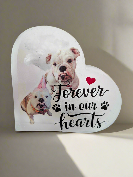 Pet memorial plaque